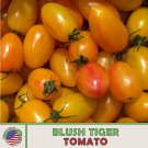 10 Blh Tiger Tomato Seeds Contemporary Heirloom Nongmo Genuine Fresh For Garden