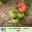 10 Mortgage Lifter Tomato Seeds Beefsteak Tomato Heirloom Genuine Fresh For Garden 10 Mortgage Lifter Tomato Seeds Beefsteak Tomato Heirloom Genuine Fresh For Garden
