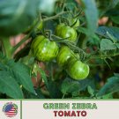 25 Green Zebra Tomato Seeds Heirloom Nongmo Genuine Fresh For Garden 25 Green Zebra Tomato Seeds Heirloom Nongmo Genuine Fresh For Garden