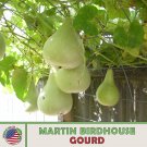 10 Martin Birdhoe Gourd Seeds Heirloom Nongmo Genuine Fresh For Garden