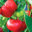 Pimento Pepper Seed 50 Seeds Nongmo Heirloom Mild Pepper Fresh For Garden