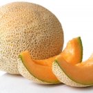 Athena Cantaloupe Seed Athena Hybrid Top Nongmo 25 Athena Seeds Fresh For Garden Athena Cantaloupe Seed Athena Hybrid Top Nongmo 25 Athena Seeds Fresh For Garden
