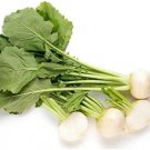 500 Seeds Shogoin Turnip Seed Japanese Turnip Greens Root Vegetable Heirloom Non Gmo Fresh For Garde