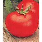 Better Boy Tomato Seeds Better Boy Tomato Hybrid Vfn Nongmo 20 Seeds Fresh For Garden