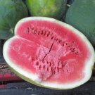Black Diamond Watermelon Seeds Heirloom Watermelon Nongmo Seed 20 Seed Pack Fresh For Garden Black Diamond Watermelon Seeds Heirloom Watermelon Nongmo Seed 20 Seed Pack Fresh For Garden
