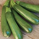 Zucchindark Green Squash Nongmo Heirloom 25 Zucchinseeds Vegetable Seed Fresh For Garden Zucchindark Green Squash Nongmo Heirloom 25 Zucchinseeds Vegetable Seed Fresh For Garden
