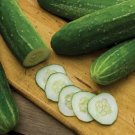 Cucumber Straight Eight Heirloom Nongmo 25 Cucumber Seeds Straight 8 Seed Fresh For Garden Cucumber Straight Eight Heirloom Nongmo 25 Cucumber Seeds Straight 8 Seed Fresh For Garden