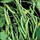 Mountain Half Runner Bean Seed 12 Pound Heirloom Non Gmo Grown Fresh For Garden Mountain Half Runner Bean Seed 12 Pound Heirloom Non Gmo Grown Fresh For Garden