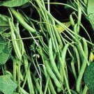 Mountain Half Runner Bean Seed 1 Pound Heirloom Non Gmo Grown Fresh For Garden Mountain Half Runner Bean Seed 1 Pound Heirloom Non Gmo Grown Fresh For Garden