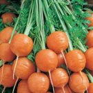 Parisian Carrot Seeds Mix 1000 Seeds Annual Root Vegetable Garden Plants Survival Fresh For Garden
