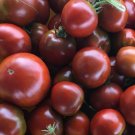 Black Prince Tomato Seeds 100 Seeds Indeterminate Vegetable Garden Rsian Heirloom Fresh For Garden Black Prince Tomato Seeds 100 Seeds Indeterminate Vegetable Garden Rsian Heirloom Fresh For Garden