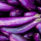 Long Purple Eggplant Seeds 200 Seeds Vegetable Garden Solanum Melongena Fresh For Garden Long Purple Eggplant Seeds 200 Seeds Vegetable Garden Solanum Melongena Fresh For Garden