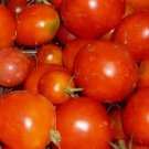 Siberian Tomato Seeds 100 Seeds Vegetable Garden Determinate Variety Fresh For Garden