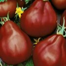 Black Truffle Tomato Seeds 50 Seeds Indeterminate Vegetable Garden Fresh For Garden Black Truffle Tomato Seeds 50 Seeds Indeterminate Vegetable Garden Fresh For Garden