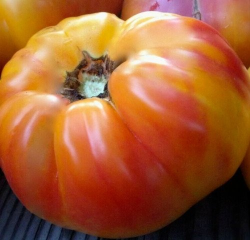 Big Rainbow Tomato Seeds 50 Seeds Indeterminate Garden Vegetables Sauce Fresh For Garden