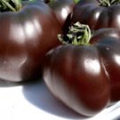 New Listing100 Heirloom Black Krim Tomato Seeds Large Almost Black Tomato Indeterminate Fresh For Ga New Listing100 Heirloom Black Krim Tomato Seeds Large Almost Black Tomato Indeterminate Fresh For Ga