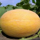 30 Heirloom Ananas Melon Seeds Aka The Pineapple Melon Super Sweet&Tropical Fresh For Garden 30 Heirloom Ananas Melon Seeds Aka The Pineapple Melon Super Sweet&Tropical Fresh For Garden