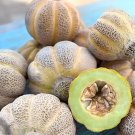 40 Heirloom Ice Cream Melon Seeds Green Flesh Super Sweet And Creamy Fresh For Garden 40 Heirloom Ice Cream Melon Seeds Green Flesh Super Sweet And Creamy Fresh For Garden