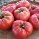 75 Heirloom Giant Pink Belgium Tomato Seeds Huge Pink Tomato Up To 2Lbs Fresh For Garden