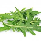 500 Rocket Seeds Fresh For Garden