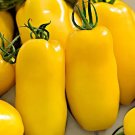 30 Banana Paste Tomato Seeds Fresh For Garden 30 Banana Paste Tomato Seeds Fresh For Garden