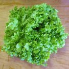 1000 Salad Lettuce Seeds Fresh For Garden