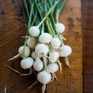 200 Crystal Wax Onion Seeds Fresh For Garden
