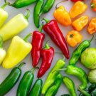 6 Pack Pepper Seed Collection ~ Heirloomseedguy ~ 2025 ~ Nongmo Fresh For Garden
