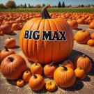 15 Big Max Pumpkin Seeds Giant Heirloom Prizewinning Nongmo Gardens Fresh For Garden