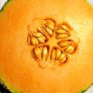 100 Seeds Honey Rock Spring Cantaloupe Melon Honeyrock Heirloom Nongmo Seeds Sweet Fresh For Garden