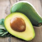 2 Seeds Wurtz Avocado Organic Non Gmo Delicio Creamy Fresh For Garden
