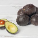 2 Seeds Stewart Avocado Organic Non Gmo Delicio Creamy Fresh For Garden