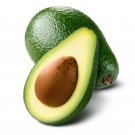 2 Seeds Rincon Avocado Organic Non Gmo Delicio Creamy Fresh For Garden