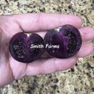 50 Seeds Seeds Purple Cherry Tomato Juicy Tomatoe Vegetable Garden Edible Food Fresh For Garden
