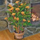 15 Seeds Seeds Golden Brh Hoe Plant Garden Flowers Fresh For Garden 15 Seeds Seeds Golden Brh Hoe Plant Garden Flowers Fresh For Garden