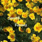 200 Seeds Seeds Golden West Poppy Flowers Plants Garden Planting Fresh For Garden