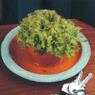 15 Seeds Seeds Spoon Leaf Sundew Hoe Plant Garden Flowers Fresh For Garden