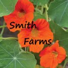 30 Seeds Seeds Orange Nasturtium Flowers Garden Fresh For Garden 30 Seeds Seeds Orange Nasturtium Flowers Garden Fresh For Garden