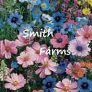 25 Seeds Seeds Mixed Cottage Garden Flowers Blue Pink Fresh For Garden 25 Seeds Seeds Mixed Cottage Garden Flowers Blue Pink Fresh For Garden