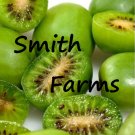 25 Seeds Seeds Green Kiwfruit Edible Food Garden Juicy Fresh For Garden