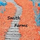 200 Seeds Seeds Orange Lithodora Diffa Flowers Ground Cover Landscaping Garden Fresh For Garden