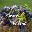 25 Seeds Seeds Pastels Statice Mixture Flowers Garden Planting Fresh For Garden