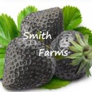 200 Seeds Seeds Black Strawberries Juicy Garden Fruit Strawberry Fresh For Garden 200 Seeds Seeds Black Strawberries Juicy Garden Fruit Strawberry Fresh For Garden