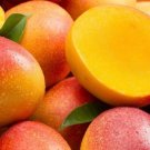 1 Seed Kent Mango Fruit Planting Garden Fresh For Garden 1 Seed Kent Mango Fruit Planting Garden Fresh For Garden