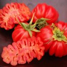 50 Seeds Zapotec Oaxacan Ribbed Tomato Tomatoe Vegetable Garden Edible Canning Fresh For Garden