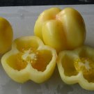50 Seeds Yellow Bell Tomato Tomatoe Vegetable Garden Edible Canning Fresh For Garden