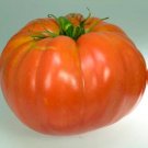 50 Seeds Wins All Tomato Tomatoe Vegetable Garden Edible Canning Fresh For Garden
