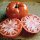 50 Seeds Valley Girl Tomato Tomatoe Vegetable Garden Edible Canning Fresh For Garden
