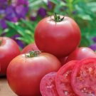 50 Seeds Umamin Tomato Tomatoe Vegetable Garden Edible Canning Fresh For Garden