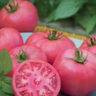 50 Seeds Ultra Pink Tomato Tomatoe Vegetable Garden Edible Canning Fresh For Garden